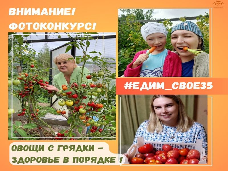 Областной фотоконкурс &quot;Овощи с грядки - здоровье в порядке!&quot;.