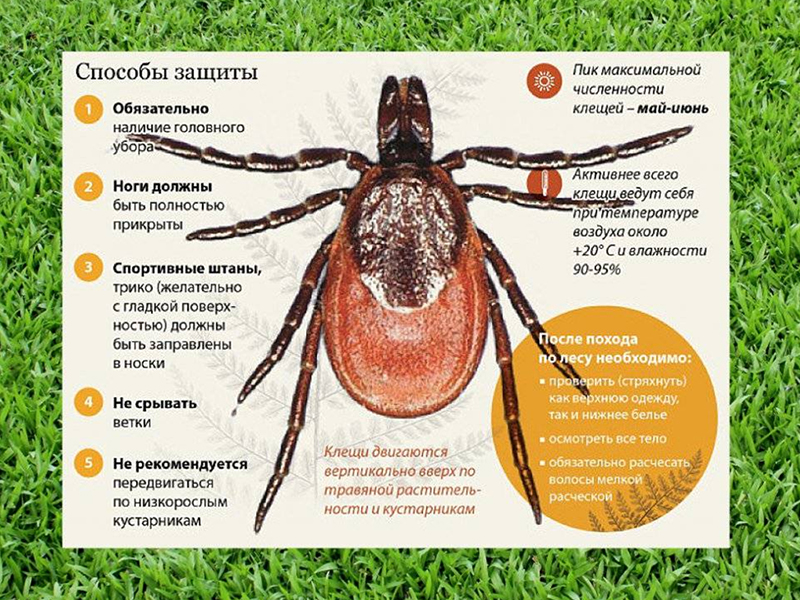 Роспотребнадзор информирует.