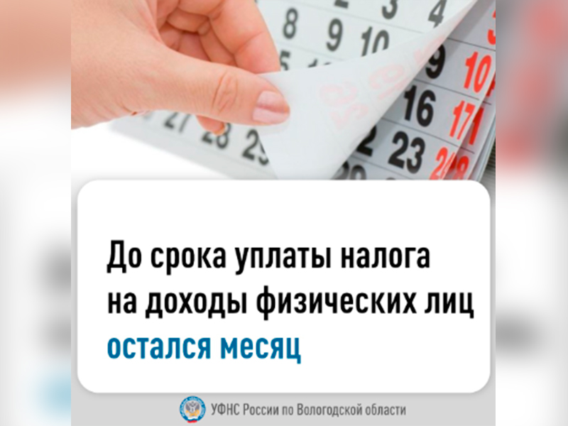 До срока уплаты налога на доходы физических лиц остался месяц.