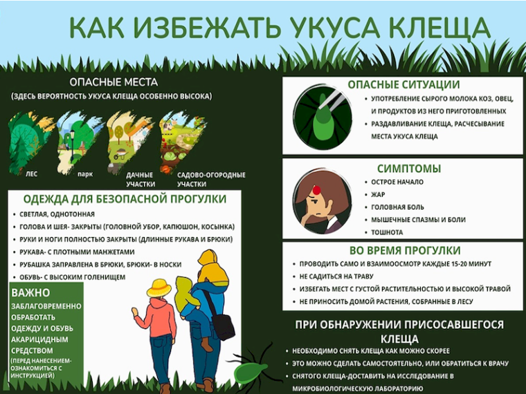 Внимание клещи!!!. Внимание клещи!!!.