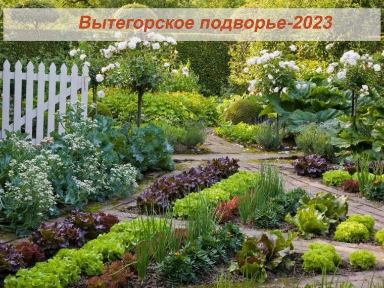 Конкурс «Вытегорское подворье-2023». Конкурс «Вытегорское подворье-2023».