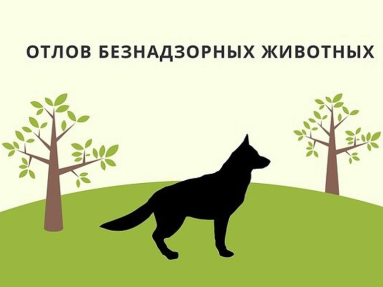 Вниманию граждан!. Вниманию граждан!.